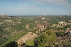 Almenara-17