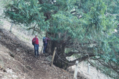 Almenara-18