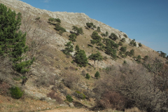 Almenara-24