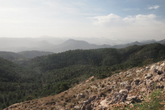 Almenara-27