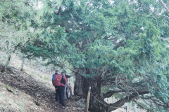 Almenara-28