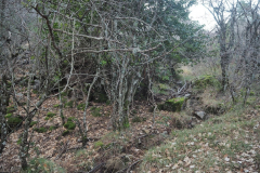 Almenara-33