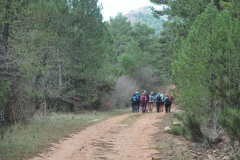 Almenara-36