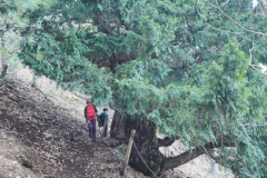 Almenara-38