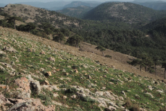 Almenara-39