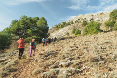 Almenara-41