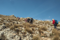 Almenara-43