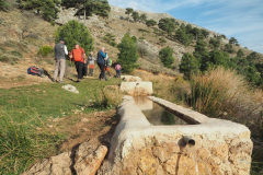 Almenara-6