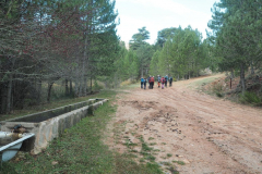 Almenara-7