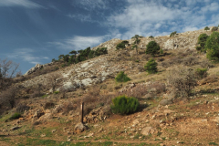 Almenara-8
