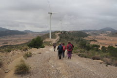 Pino Doncel -Sierra de las  Cabras 21-01-2024