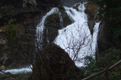 DSCF4181