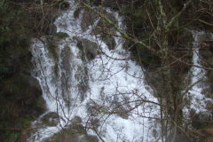 DSCF4186