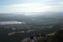 DSCF3374