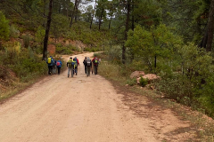 IMG-20251116-WA0019