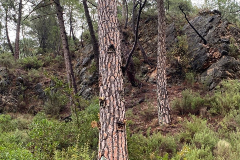 IMG-20251116-WA0020