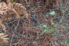 IMG-20251116-WA0030