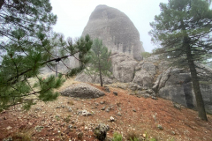 IMG-20251116-WA0034
