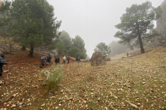 IMG-20251116-WA0035