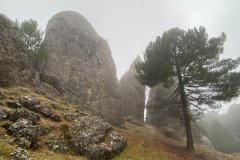 IMG-20251116-WA0036