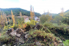 IMG-20251116-WA0040