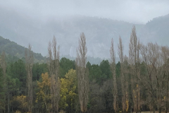 IMG-20251116-WA0048