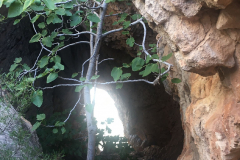 IMG-20240623-WA0012