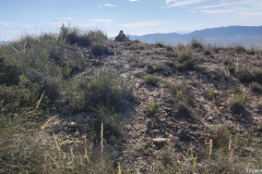 IMG-20240623-WA0026