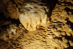 Simas-3