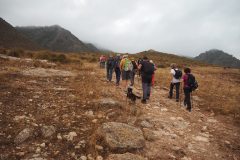 Sopalmo 04-10-2026