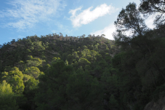 IMG-20231105-WA0037