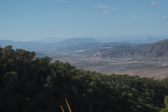 IMG-20231105-WA0042