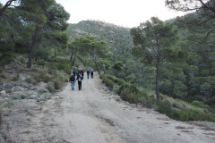 IMG-20231105-WA0050
