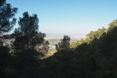 IMG-20231105-WA0051