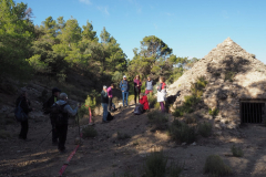 IMG-20231105-WA0056
