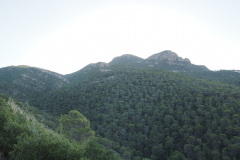 IMG-20231105-WA0061