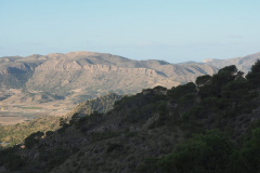 IMG-20231105-WA0062