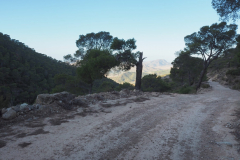 IMG-20231105-WA0063