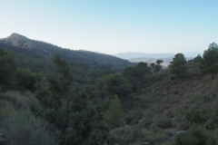 IMG-20231105-WA0064