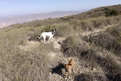 IMG-20231008-WA0014