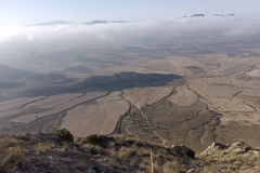 IMG-20231008-WA0027