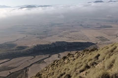 IMG-20231008-WA0030