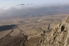 IMG-20231008-WA0033