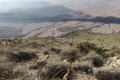 IMG-20231008-WA0038
