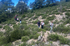 IMG-20260511-WA0015